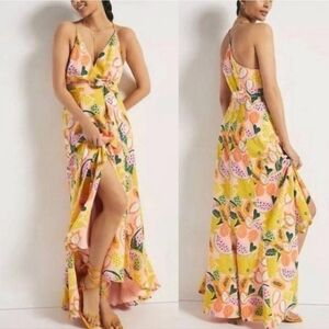 Anthropologie Hutch Fruits Maxi Dresa
